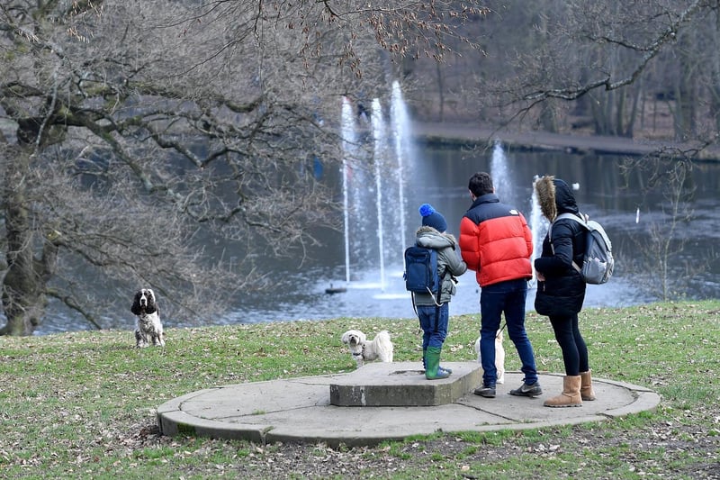 Covering 700 acres of parkland, lakes and woodland, walkers in Roundhay Park have plenty of scenic spots to wander around at this popular outdoor spot, incorporating both tarmac paths and woodland routes.