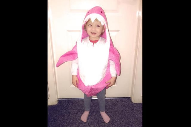 Lydia/mummy shark with a singing fin age 2