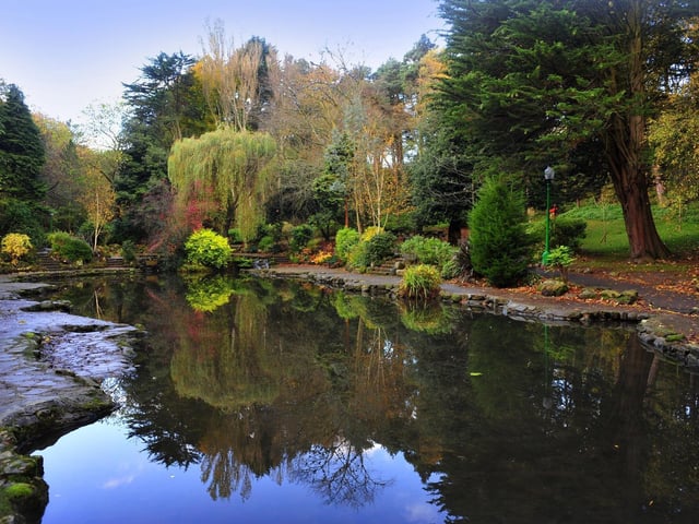 Peasholm Park Glen is home to two trees from a species that at one point was thought to be extinct - the Dickinson Golden Elm. It was thought the species had been wiped out by Dutch Elm disease in the 1970s but Scarborough is home to two of these incredibly rare trees.