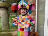 Oliver, age four, dressed up as Elmer.