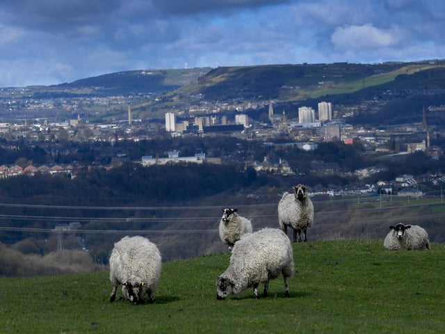 Calderdale had a case rate increase of 90 per cent, from 840.9 up to December 23, to 1,598.6 up to December 30