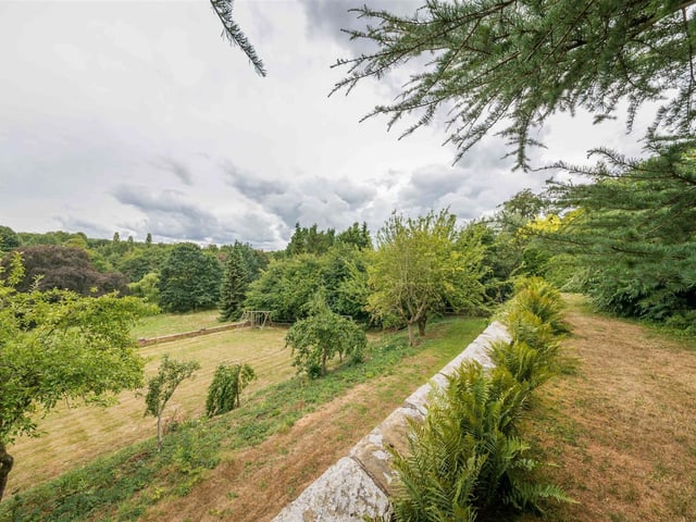 Mature trees of many different varieties provide interest in the gardens and beyond.