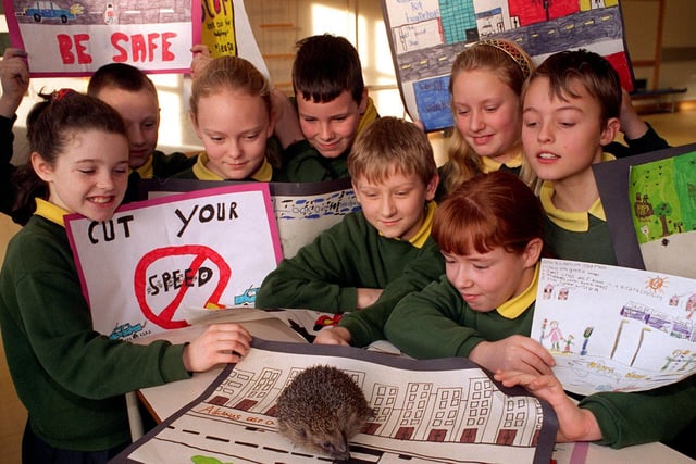 Norman the hedgehog from the Leeds Hedgehog Society helps illustrate the neccessity for safe road crossing at the launch of the Child Road Safety Campaign at St Augustines Primary. Pictured, from left, are Laura Murray, Ryan Toomes, Jennifer Neary, Anthony Fitzpatrick, Andrew Steadman, Lisa Hackett, Paul Green and Mary McMahon at front right.