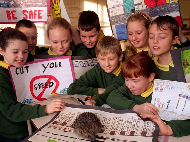 Norman the hedgehog from the Leeds Hedgehog Society helps illustrate the neccessity for safe road crossing at the launch of the Child Road Safety Campaign at St Augustines Primary. Pictured, from left, are Laura Murray, Ryan Toomes, Jennifer Neary, Anthony Fitzpatrick, Andrew Steadman, Lisa Hackett, Paul Green and Mary McMahon at front right.