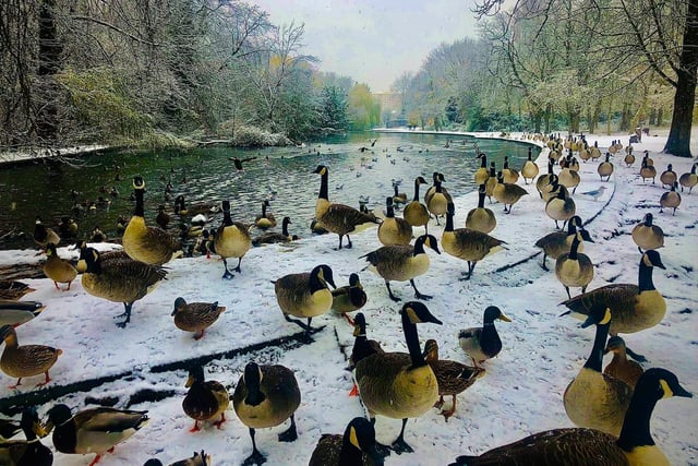 Thornes Park pond, Wakefield, by Keith Mack