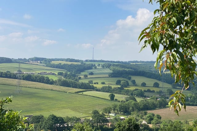 Emley Moor mast from Thornhill, by Marcus Stringfellow