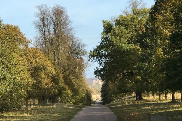 Ripon Cathedral in the distance, taken from Fountains Abbey, taken by Katherine Schoon.