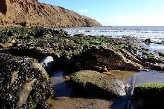 A rugby player from Wigan is understood to have died after being rescued from the sea in Yorkshire. The man was swimming with a teenage boy and a girl off Reighton Gap, four miles south of Filey at around 2pm on Thursday when they were swept out to sea after getting caught in a rip tide. Written by Grace Newton and Gaynor Clarke.