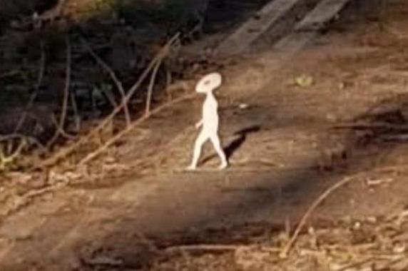 A woman out walking her dog, snapping off some pictures on her new smartphone camera, couldn't believe her eyes when she got home and looked through the images. She said - It was whilst looking through the still photos that I spotted on one of them what appears to look like a tiny humanoid-shaped figure walking from right to left. Story by Jon Peake.