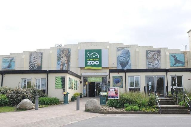Blackpool Zoo is a family friendly attraction, providing fun and education for all ages.

Located only five minutes from Junction 4 of the M55 motorway, the zoo is situated in 32 acres of spacious, mature parkland with lakes, waterfalls and traditional English woodland.