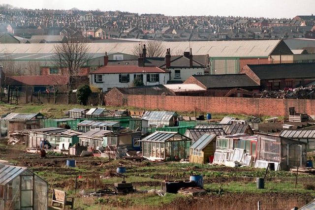 Glassworks Field allotments off Moor Road in Hunslet pictured in March 1996.