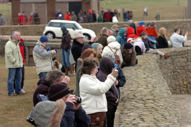 Spectators on February 3 2008 - the sight drew in the crowds