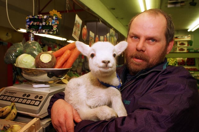 Meet Zak, a lamb who captured the hearts of Leeds shoppers. He is pictured in the arms of greengrocer Geoff Berry of Morley Markets.