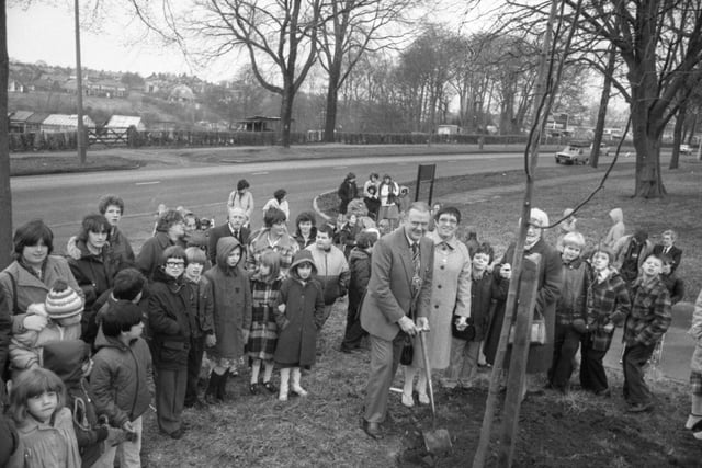 Preston's mayor, Coun Joe Pownall, took the first steps to reverse the damage caused by Dutch elm disease. And there to help him were children from nearby Elms and Moorfield schools. The two schools look on the Moor Park, which has borne the brunt of the damage caused by the disease. More than 100 trees throughout the town have succumbed to the killer fungus, and Lime trees are being put in their place