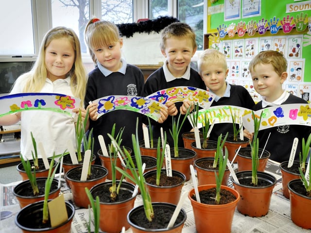 Children from Overdale CP School get involved in the Marie Curie project and paint designs which will embellish the daffodil pots.