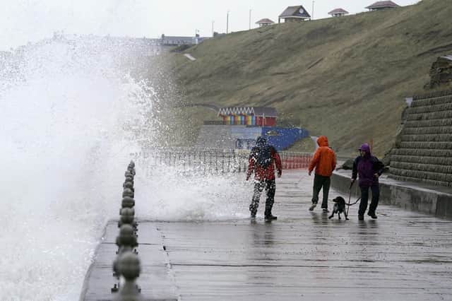 Whitby residents are more than used to the rough and tumble of North Yorkshire weather and a bit of wind wasn't going to stop the daily dog walk for these hardy locals. PA