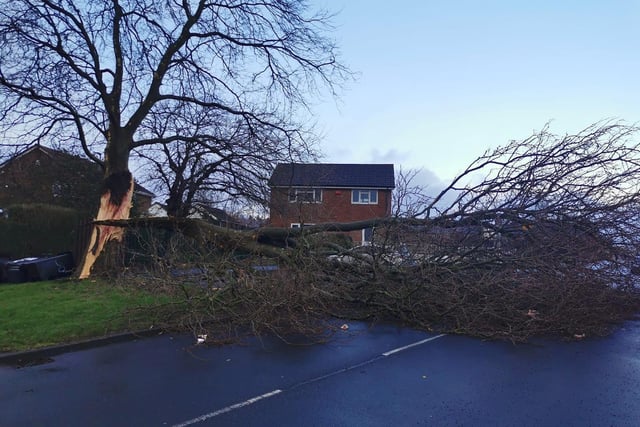 A road was blocked in Armley due to a fallen tree. Elsewhere, Flyer Buses confirmed that the A3 service could not run on cemetery road in Yeadon due to a fallen tree.