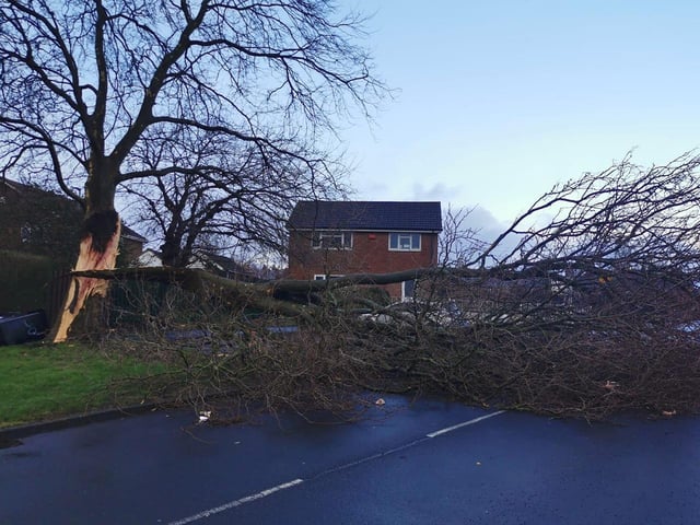 A road was blocked in Armley due to a fallen tree. Elsewhere, Flyer Buses confirmed that the A3 service could not run on cemetery road in Yeadon due to a fallen tree.