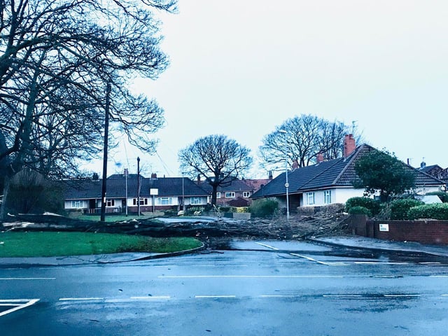 While Farsley resident Nicola Lawson shared dramatic photographs of a fallen tree in in The Gardens. She said: "'Tree is down on The Gardens and has taken out phone lines and telegraph pole/lines are blocking Farfield Avenue, please use a different route for now."