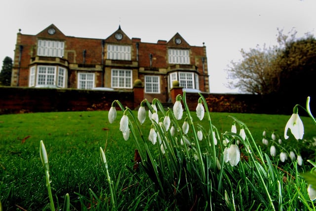 On snowdrop days visitors can enjoy access to the grounds of this private former royal residence and also take in delicate hellebores and carpets of winter aconites. They can enjoy a stroll down the quarter-mile Lime Tree Walk, which was planted by royal visitors to the hall during the 1920s. Plaques on the trees show the dates when dignitaries, including King George V and Queen Mary planted them.