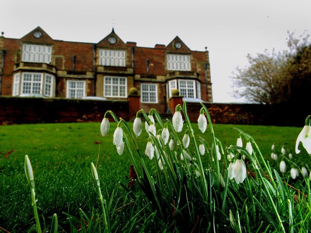 On snowdrop days visitors can enjoy access to the grounds of this private former royal residence and also take in delicate hellebores and carpets of winter aconites. They can enjoy a stroll down the quarter-mile Lime Tree Walk, which was planted by royal visitors to the hall during the 1920s. Plaques on the trees show the dates when dignitaries, including King George V and Queen Mary planted them.