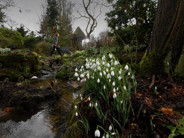 York Gate is a magical one acre garden created by the Spencer family between 1951 and 1994. Frederick and Sybil Spencer, along with their son Robin ,laid out and nurtured what is now one of the finest small gardens in the country. The design of rooms, interlinked through a succession of vistas and executed with meticulous attention to detail, owed much to the arts and crafts movement, complemented by Sybil’s skills as a plantswoman. In accordance with her wishes, on her death in 1994 York Gate was given to Perennial. York Gate has been granted Grade II national heritage status in a list of post-war gardens and landscapes for England.