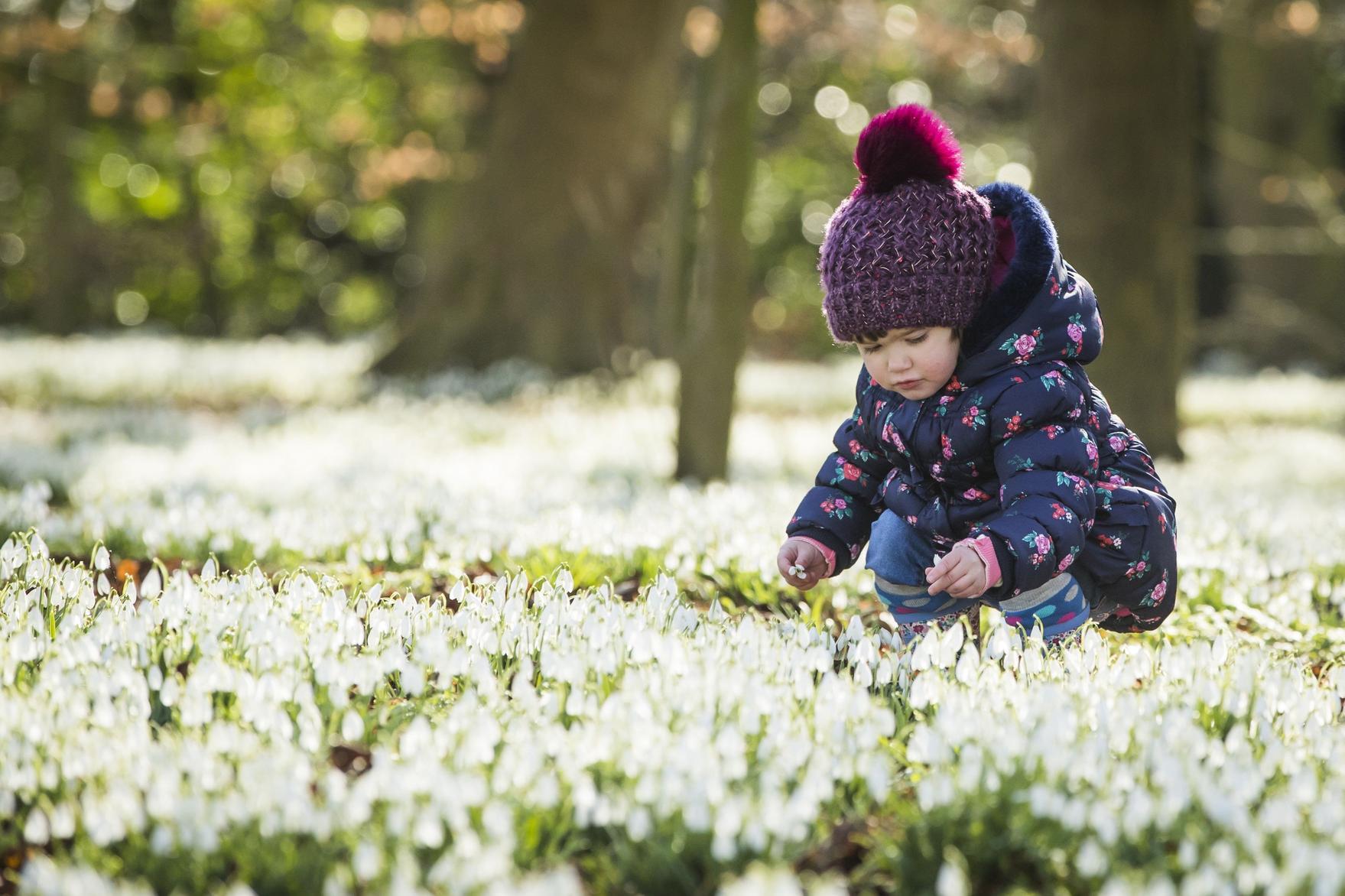Burton Agnes Hall (photo: PA)