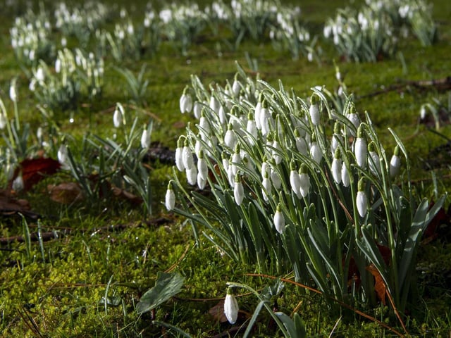 Enjoy a fun day for all the family in the great outdoors. Wander across the moors and along the woodland and riverside paths.