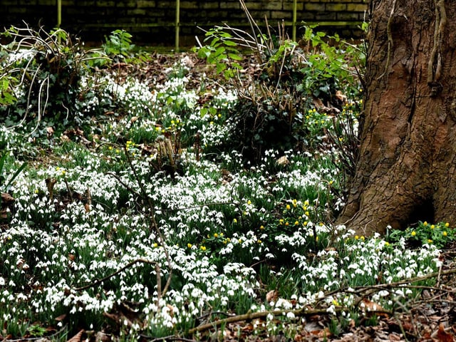 Uniquely situated in a dramatic cliff top position with spectacular views over Bridlington and set in 50 acres of early 19th century parkland, Sewerby Hall and Gardens offers something for everyone from the magnificent gardens and zoo to the deep-rooted heritage of the house.