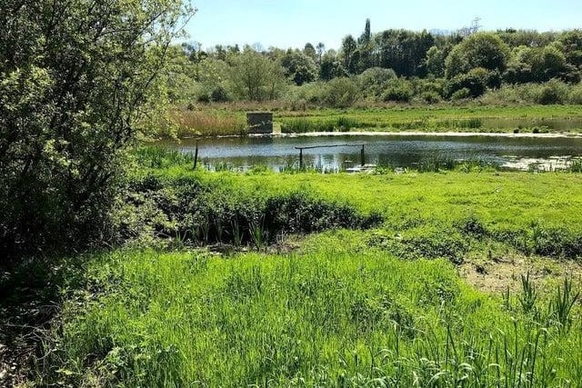 Rodley Nature Reserve is a wetland reserve created in 1999. This scenic reserve is a relaxing destination, where you can take in the beautiful surrounding nature as you walk.