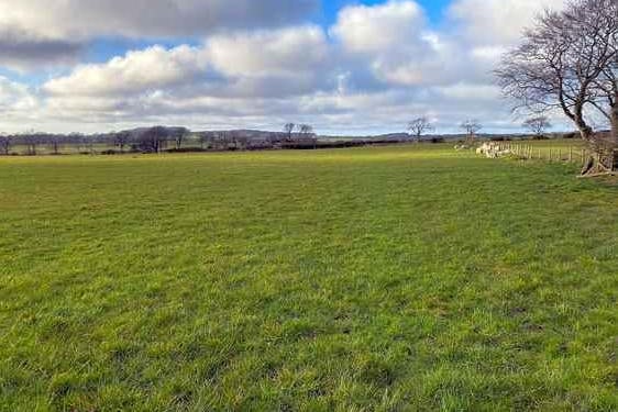 Wyresdale Camping, Lancaster
Simple, scenic pop-up site on the edge of the Forest of Bowland
A 20-minute drive to Lancaster; 25 minutes to the beach at Morecambe
Back to basics dog-friendly pitches easily accessed from the M6