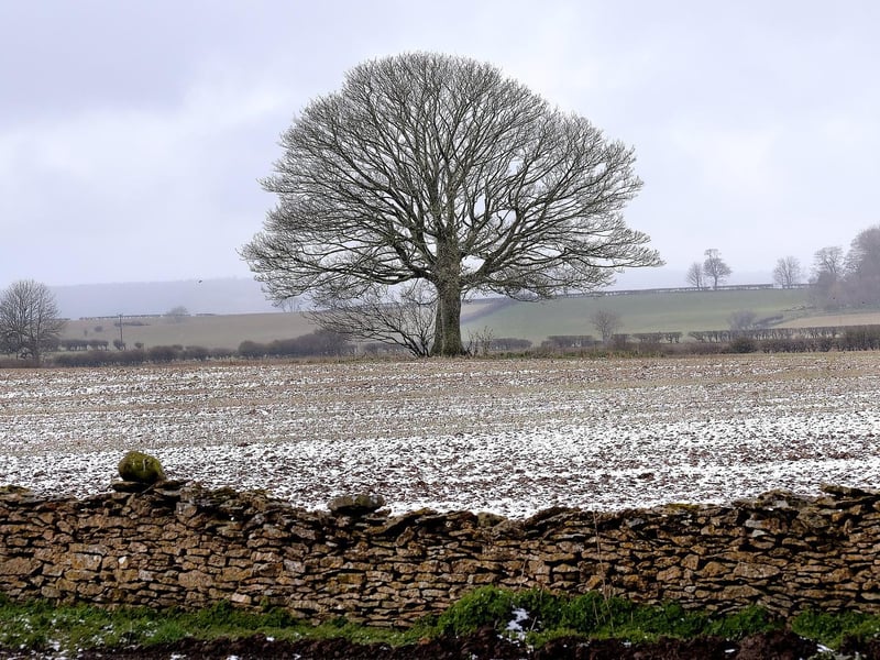Photo taken on Saturday by Richard Ponter.