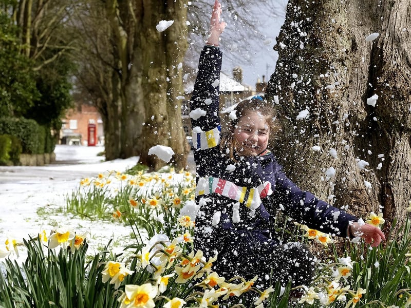 Florence Skelton enjoys the snow in Scalby Village. Photo by Richard Ponter.