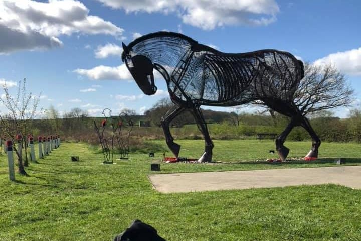 Samantha Jade Hughes took this snap while walking her four legged friend around the War Horse memorial in Featherstone.