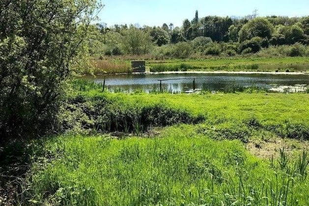Rodley Nature Reserve is a wetland reserve created in 1999. This scenic reserve is a relaxing destination, where you can take in the beautiful surrounding nature as you walk.