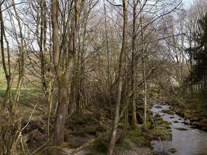 Idyllic rural scene.