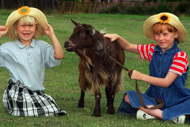 The Groundwork Trust mobile farm project visited youngsters at the Rose Lund Summer Playscheme at Rothwell in August 1997. Pictured are Rachel Smith (left) and Emma Hutchinson with Heidi the goat.