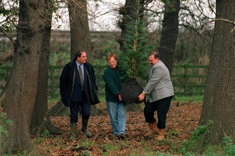 A new woodland which is being created for the millennium near Woodlesford took its first plantation of a Redwood tree in December 1997.