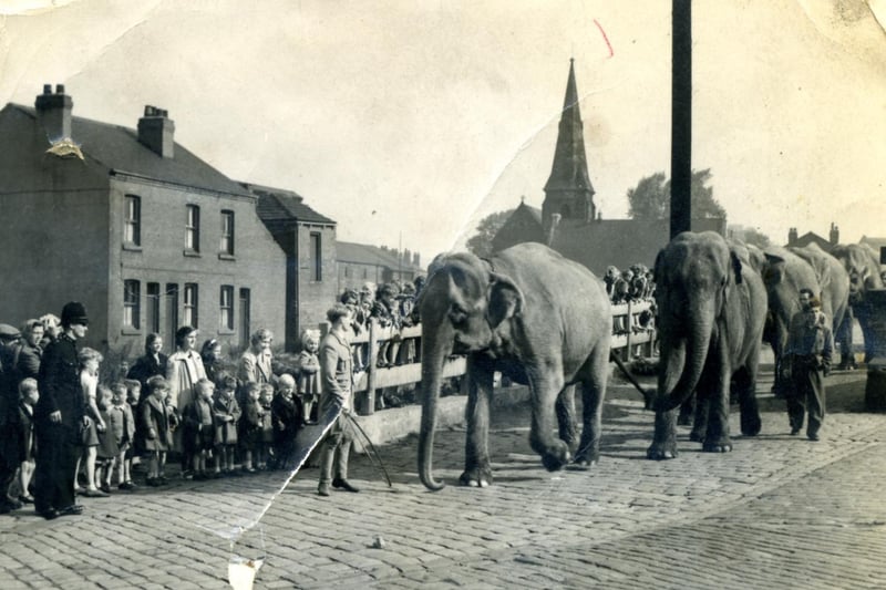 This image, believed to date rom the 1940s, shows Billy Smart's Circus passing through Kirkgate - have you ever seen elephants in Wakefield?