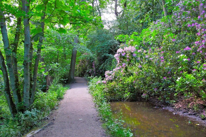 "My husband and I live a 5 minute walk from the start of the Meanwood valley trail and it’s really beautiful! We should all take advantage of the local scenery we have nearby because it’s great for a day out and a lovely place to walk your dogs! Really good walk!"