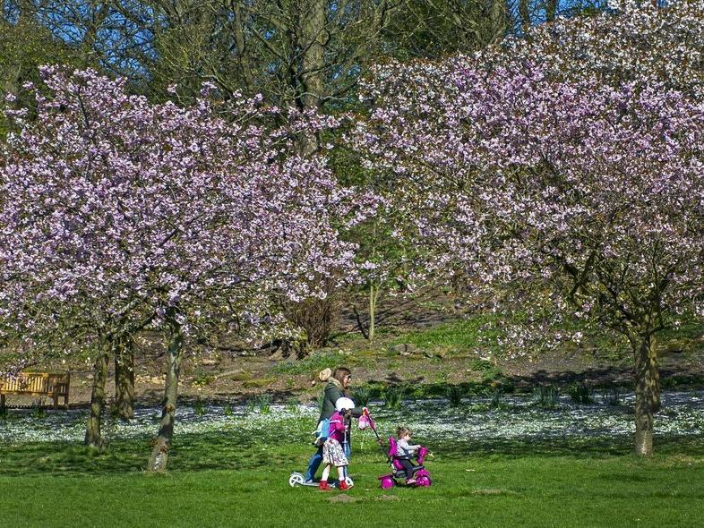 A fully inclusive Leeds LGBT+ dog walking club meeting at Golden Acre Park at 8.45am for a 9.00am start on May 9. The walk will last approximately an hour and everyone is welcome, even if you don't have a dog! It's free to join and you can register your interest and get a ticket on the Eventbrite website.
