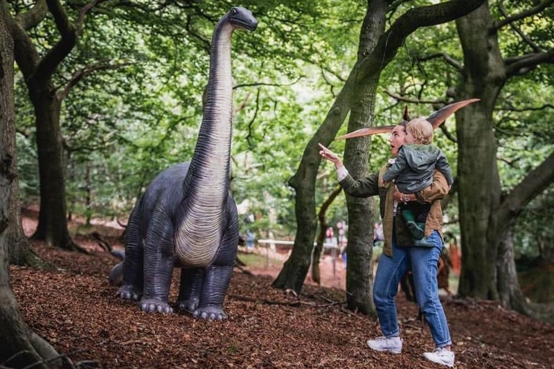 Having launched its Leeds home last weekend, Totally Roarsome is a new woodland adventure for the whole family to enjoy. It's located at Hazlewood Castle and is open through to the summer - with bookings being taken now up until July. It boasts seven themed zones - including Jurassic Land, Jungle, Arctic, Candy Land, Neverland, Superheroes and Fantasy Land. Tickets must be pre-booked. (photo: Totally Roarsome)