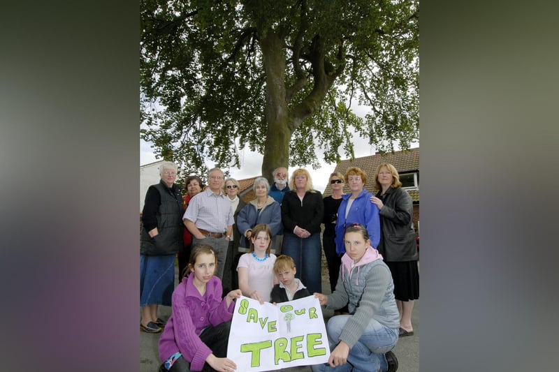 Irton locals petition for the tree to be saved on Main Street.