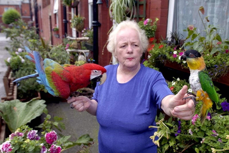 Avril Barton created an Amazon rainforest style garden on the pavement outside her home in August 2004. She is pictured with parrots Dottie (left) and Charlie (right).