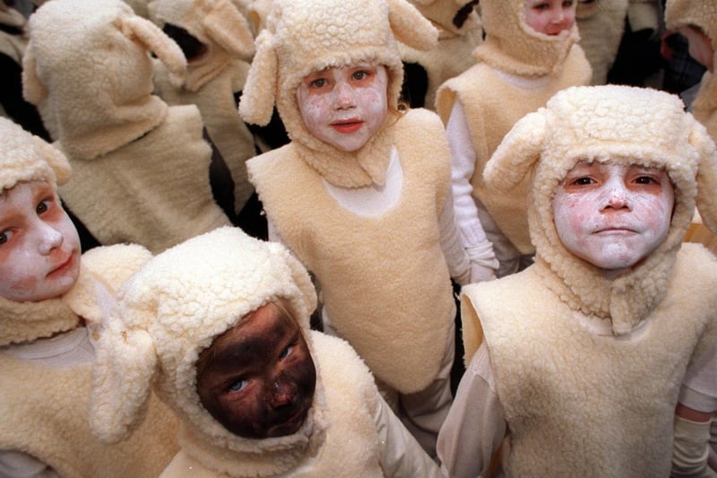 Children from Bolling Road First School pictured in sheep outfits at Ilkley Carnival.