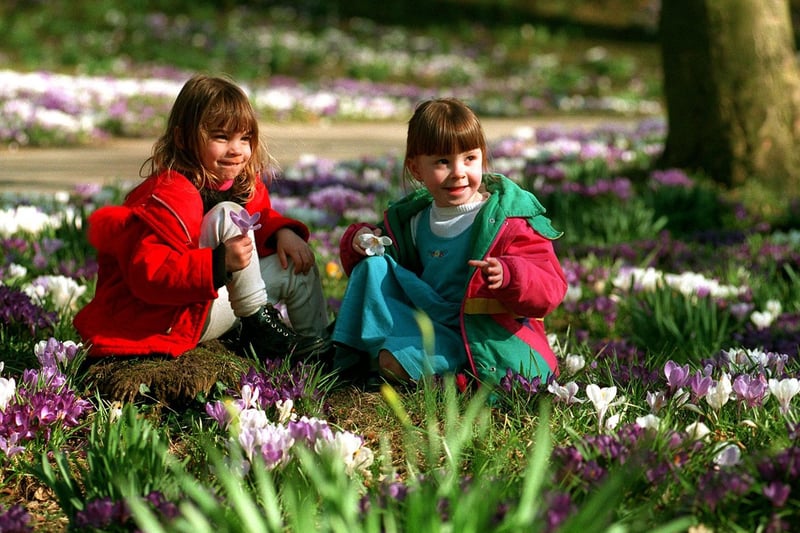 Stephanie Smith and Jessica Whitehead enjoy the spring sunshine among the crocuses in Roundhay Park in April 1996.