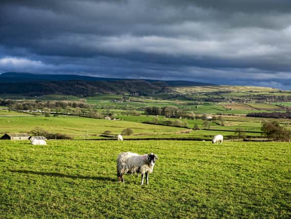 Where would you most like to live in Yorkshire?