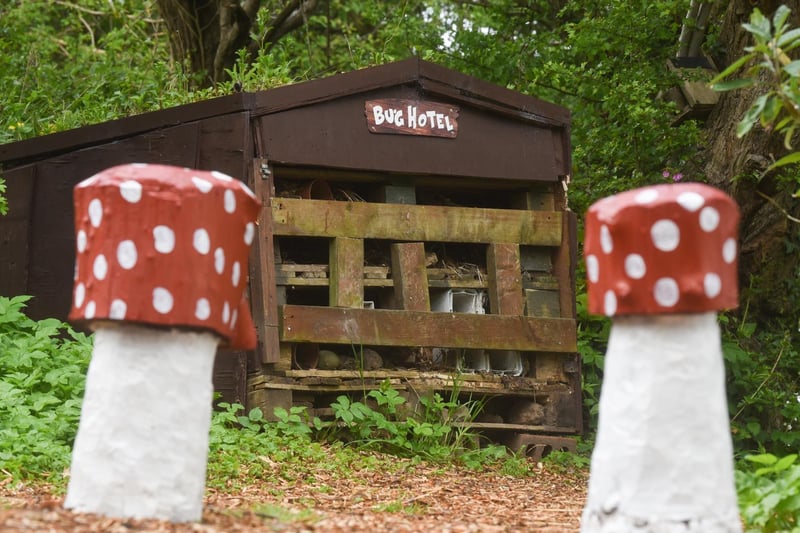 The Bug Hotel in the woodland area of Marton Mere Holiday Park.