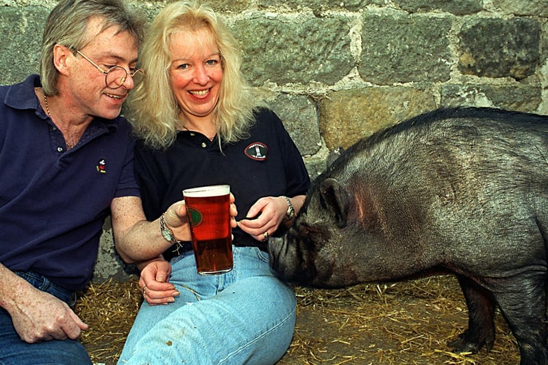 Ann Seabrook and Iain McLaren of the OId Kings Arms with Wilbur one of their Vietnamese pot bellied pigs.
