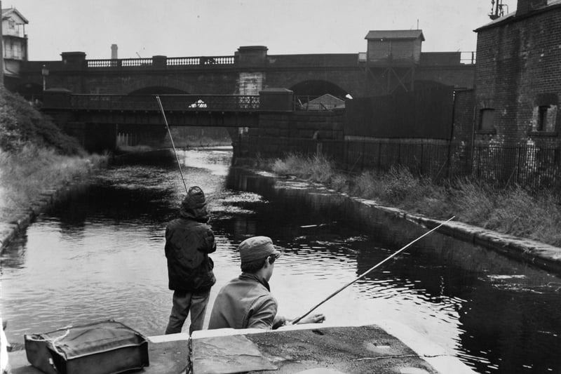 Youngsters fishing on the River Aire near Whitehall Road in August 1966.